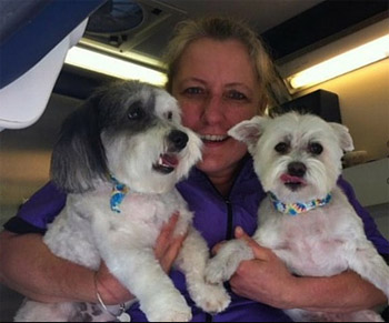 MaryAnn with two groomed dogs